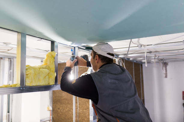 Types of Insulation We Offer in Elfers, FL
