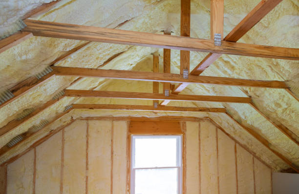 Best Blown-in Insulation in Elfers, FL