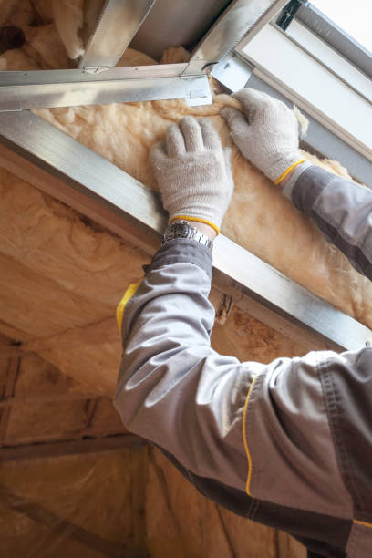 Best Fiberglass Insulation in Elfers, FL