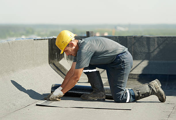 Trusted Elfers, FL Insulation Contractor Experts
