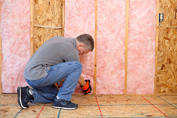 Best Geographic-Specific Insulation Services in Elfers, FL