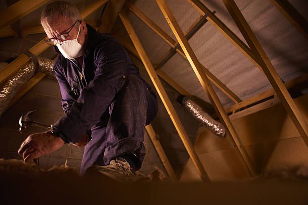 Best Spray Foam Insulation in Elfers, FL